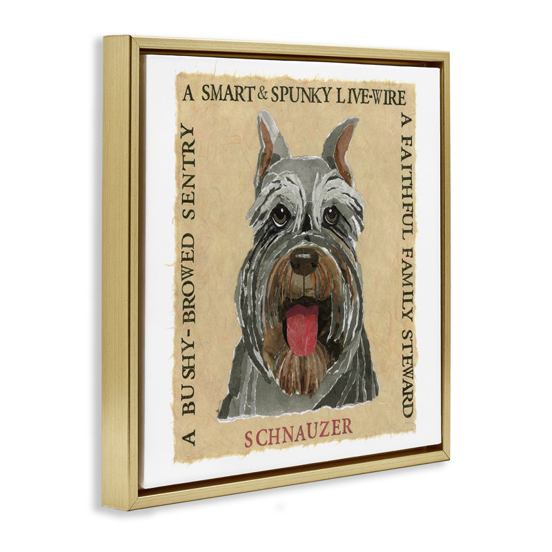 "Fun Schnauzer Pet", art mural encadré flottant par Nancy Overton, Cadre flottant métallique doré, H 25 po x l 25 po