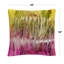 Coussin Anthony Sikich