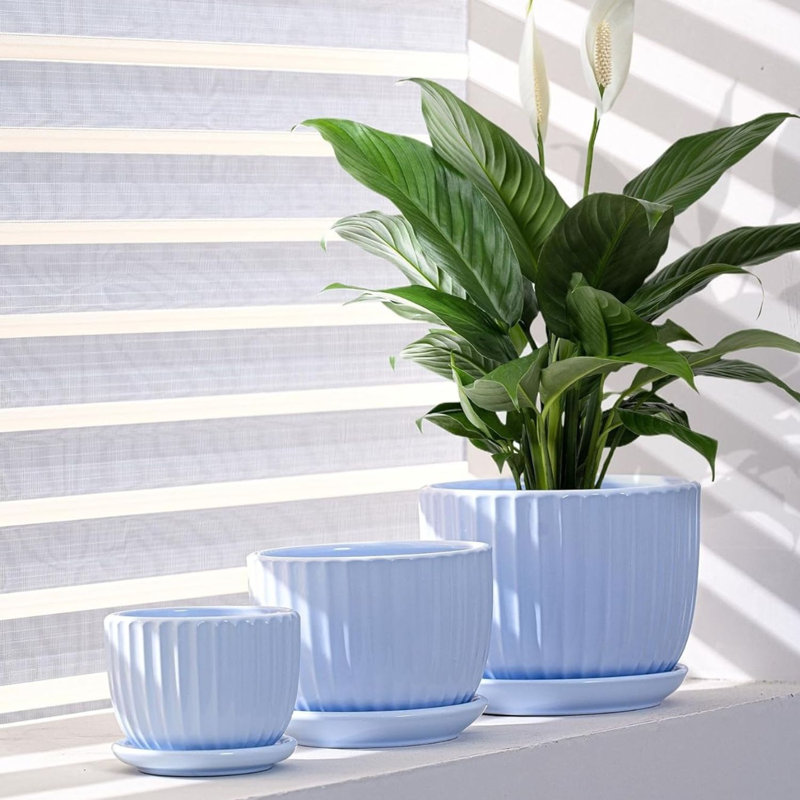 Ensemble de 3 pots à fleurs en céramique (4/5/6 pouces)
