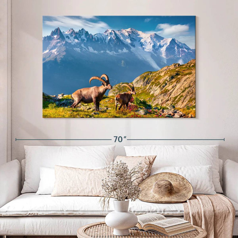 Bouquetin Alvord Mont Blanc, H 34 po x l 51 po