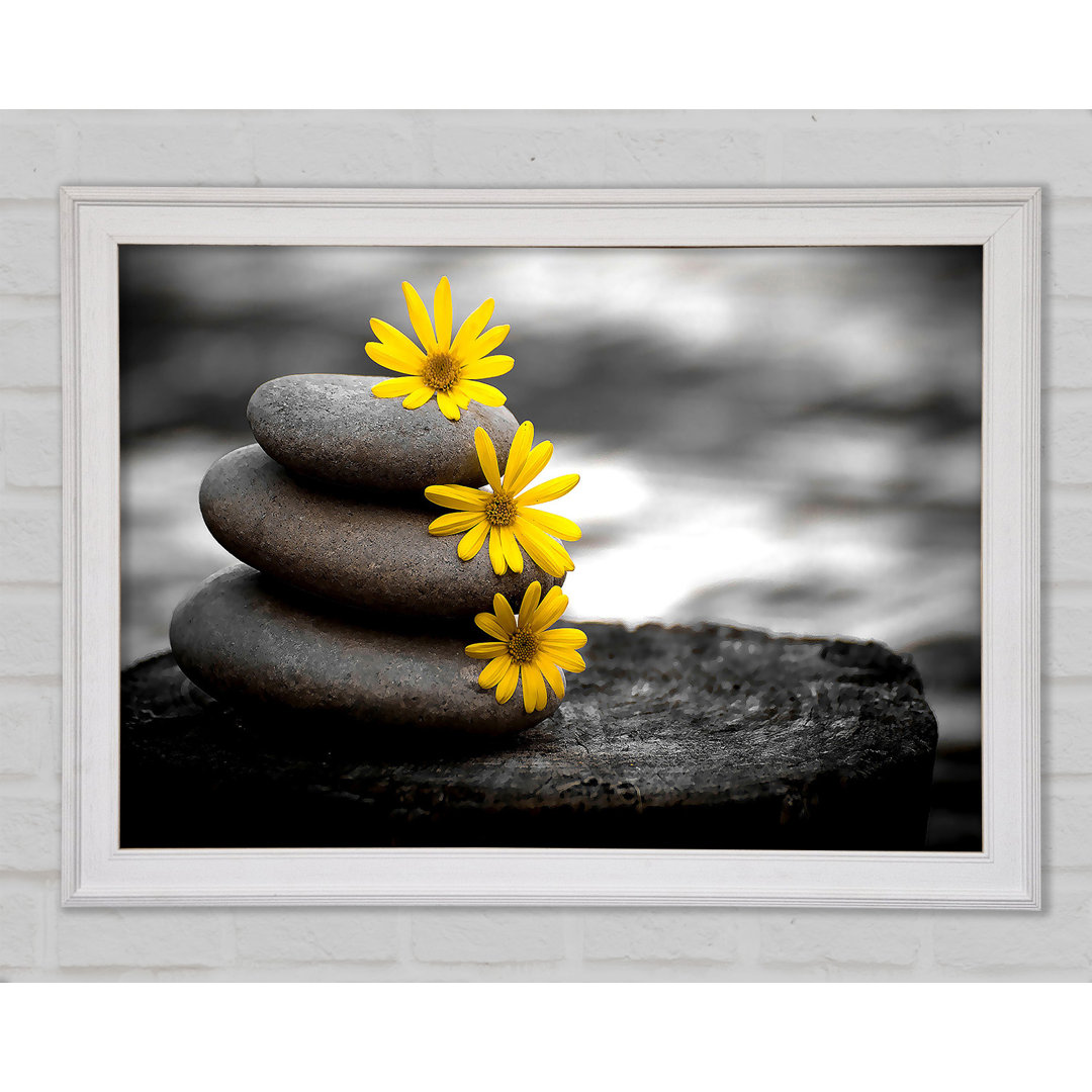 Zen Flowered Stones Gerahmter Druck