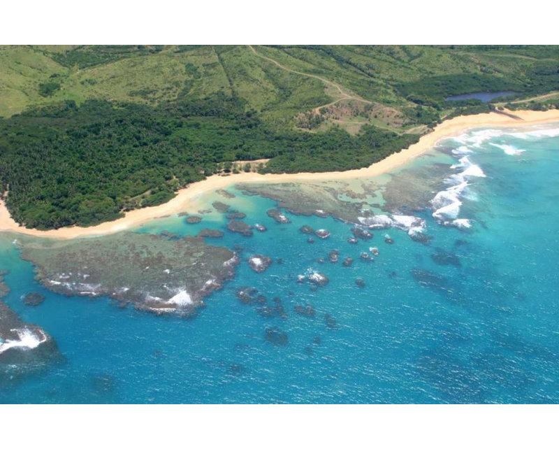 «Dovecove Millet», art sur toile tendue par Karyn Gallery: Vieques Sea II, H 27 po x l 40 po