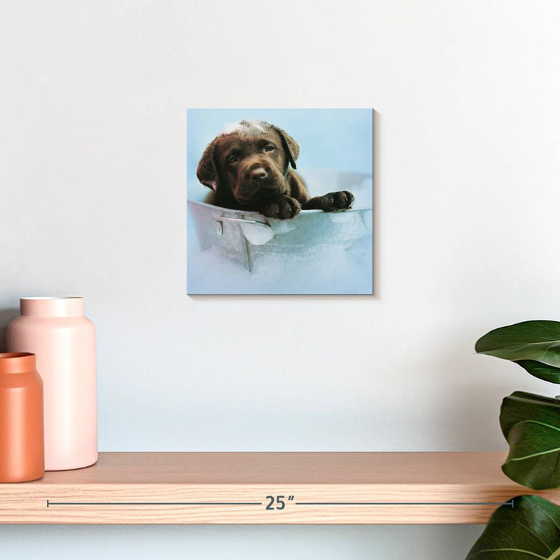 Brampt Beau The Dog, 10" H x 10" W
