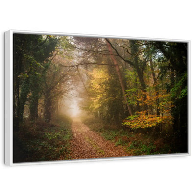 Chemin dans la forêt d'automne