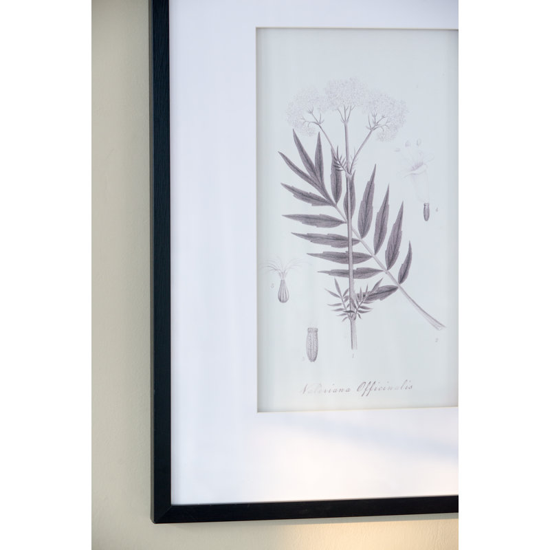 Traditional Pencil Art Prints with Premium Quality