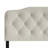 Raichelle Upholstered Headboard-1007214588-1007214589