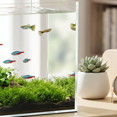 Fish with Protective Base Mat