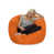 Tangerine Microfiber/Microsuede