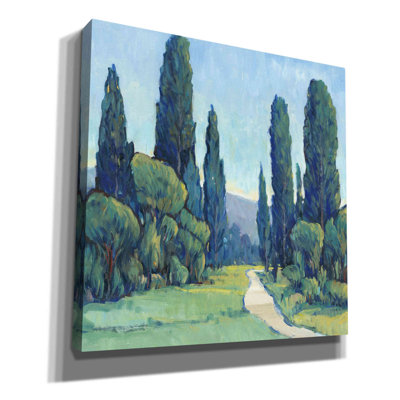 «Cypress Path II» par Tim O'toole, art mural sur toile