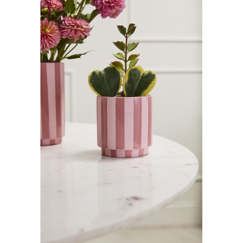 Pot à rayures rose