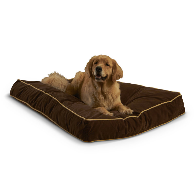 Lit pour chien Olivarez Classic, Grand (L 48 po x l 36 po x H 6 po), Cacao