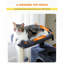 Arbre à chat compact et fonctionnel avec grattoir, peluche et aire de repos pour petits et moyens chats-117068903-117068904