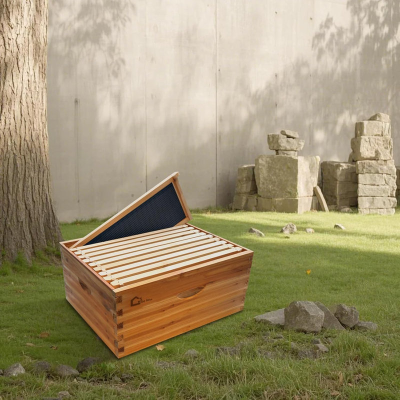 1PC 10 Frame Deep Brood Bee Hive Box, Langstoth Beehive Deep Box, Bee Box Dipped in 100% Beeswax Includes Wooden Beehive Frames & Waxed Foundations