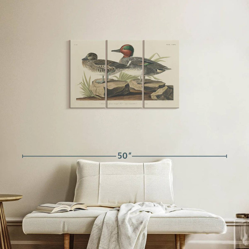 Winged, 20" H x 33" W
