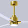 Alessandra - Three Blade Transitional Ceiling Fan -LED