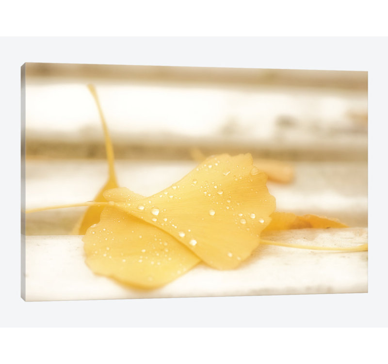 « yellow doux », reproduction de photo sur toile, H 8 po x l 12 po x P 0,75 po