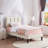 Wiebe Upholstered Platform Bed-1334916659