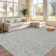 Modren Machine Washable Rug for Living Room Tiny Plaid Indoor Carpet for Home Decor Aesthetic Non-Slip Rug for Bedroom Dining Room Office Nursery Playroom Teen Dorm