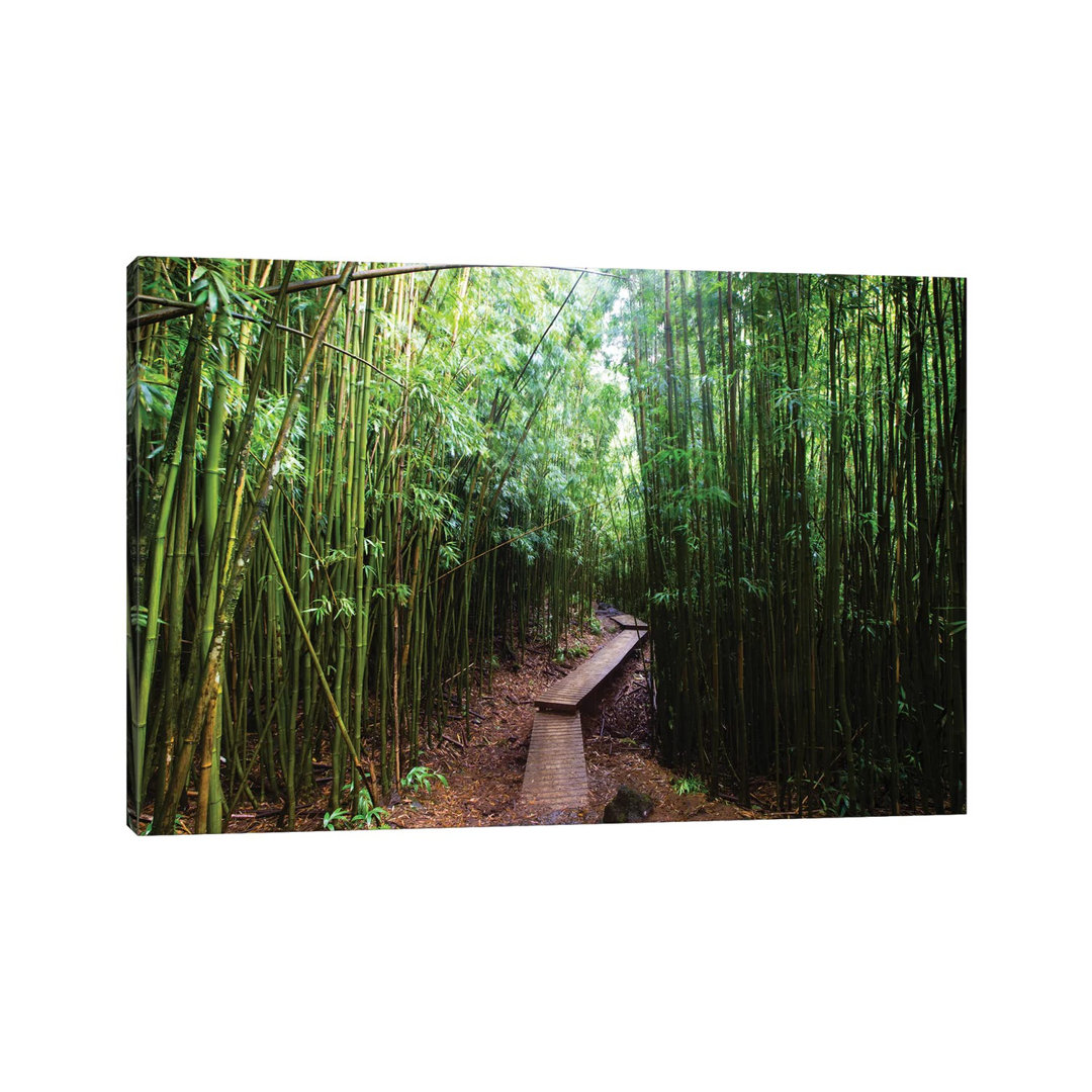 Boardwalk Through Bamboo, Pipiwai Trail, Hakeakala National Park, Kipahulu, Hana Road, Maui, Hawaii, USA II - Wrapped Canvas Photograph