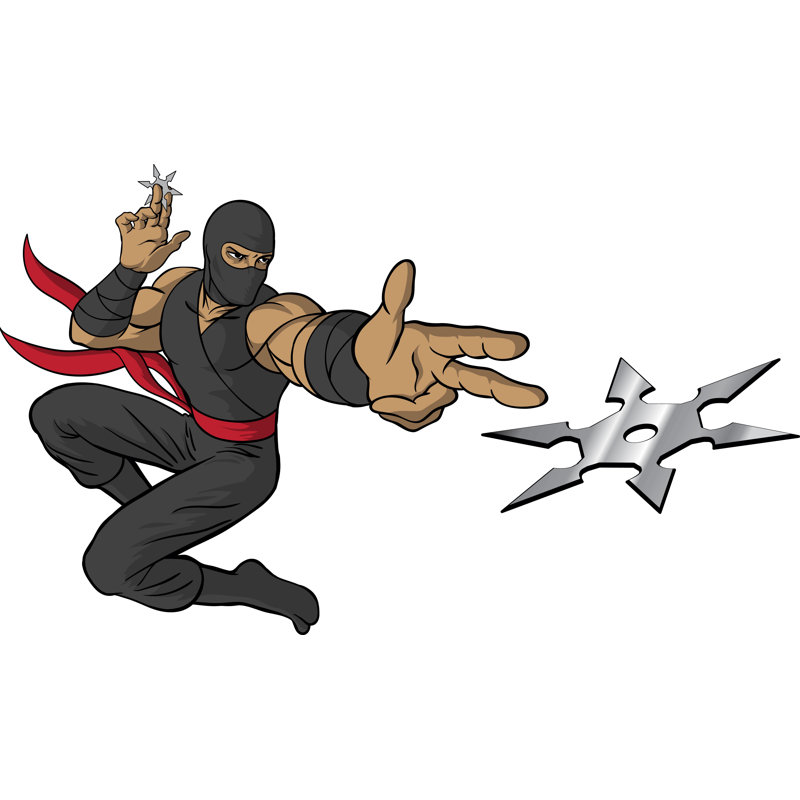 Adhésif décoratif Winn Ninja Shuriken, H 42,5 po x l 72 po