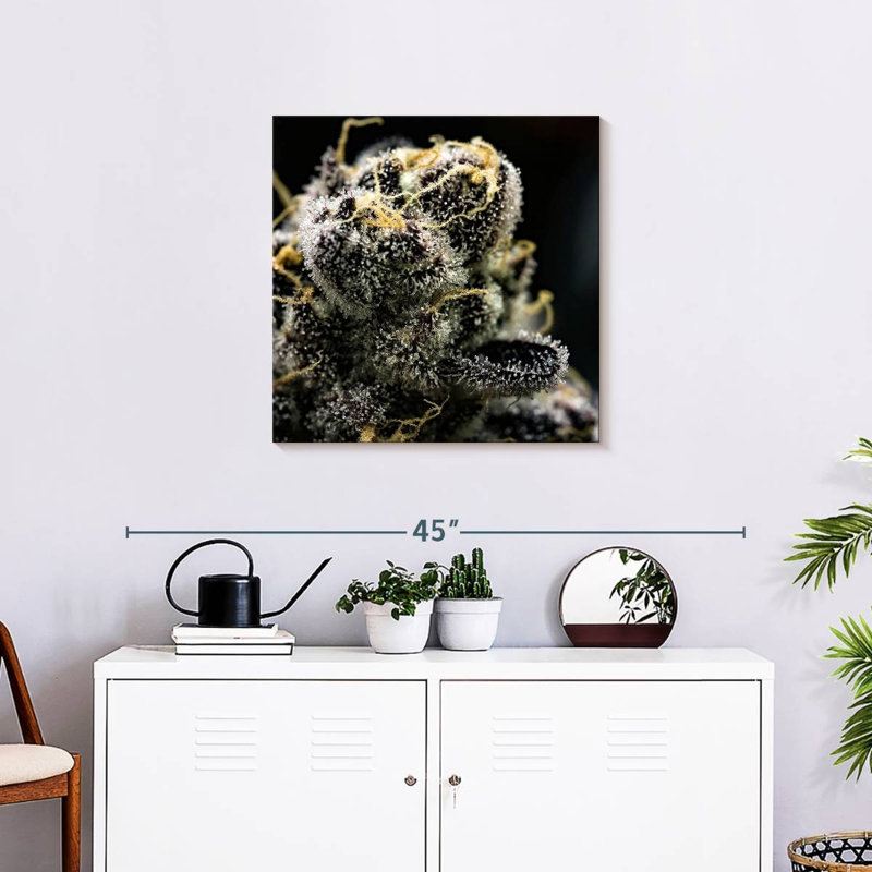 Harnek White Marijuana Trichomes