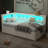 Versatile Platform Bed with Advanced Features for Ultimate Comfort-122348651-122348648