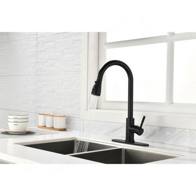 Kitchen Faucet With Pull Out Spraye