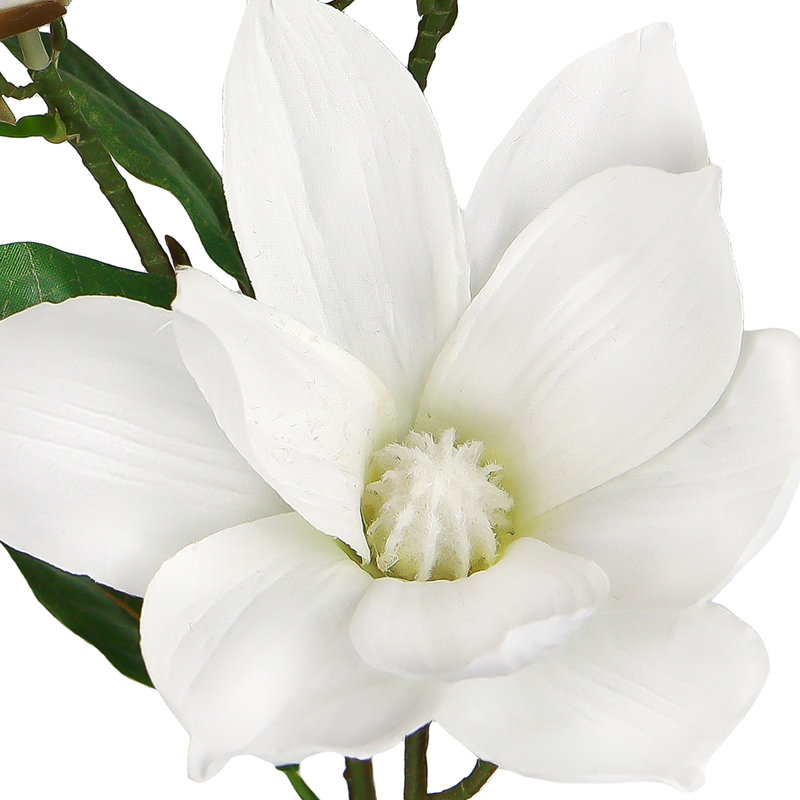 Fleur de magnolia artificielle, Blanc