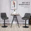 Bigvai Adjustable Height Counter Stool with Metal Frame-757201547
