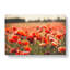 Field Of Poppies Vol.1 - Wrapped Canvas-61877006