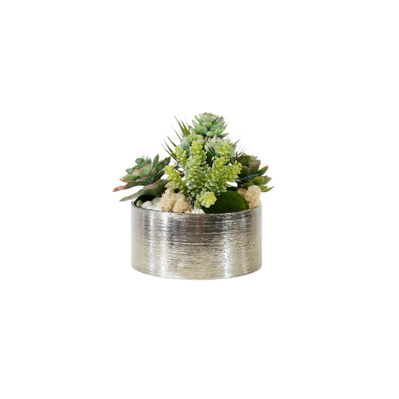 Succulents Arrangement in Silver Etched Bowl