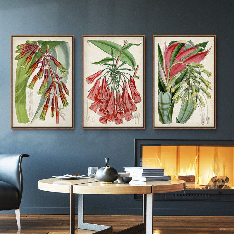 Tropical Gems I - ensemble de 3 reproductions sur toile, Noyer, H 36 po x l 72 po