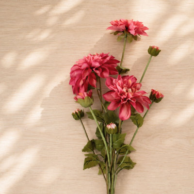 Ensemble de fleurs Dahlia (ensemble de 2)