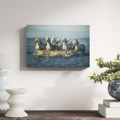 Water Horses VI by PHBurchett - Print on Canvas