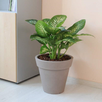 PEGASUS Conical Pot   Diameter