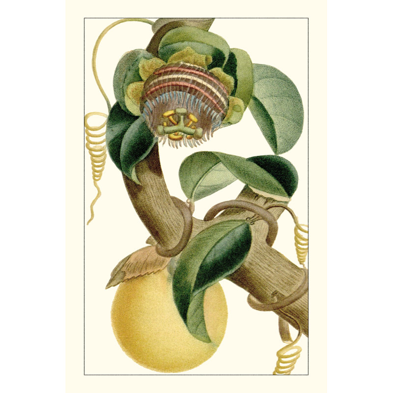 Turpin exotique botanique VII, H 36 po x l 24 po x P 1,25 po