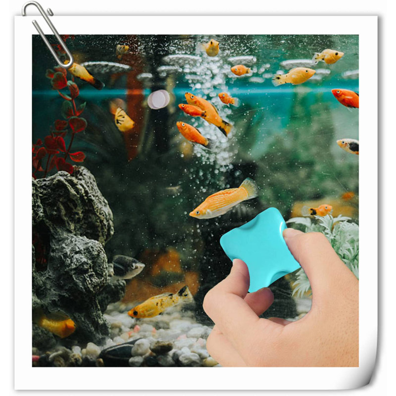Accessoire d'aquarium Fahmid