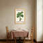 Plantes et fleurs - palmier tropical