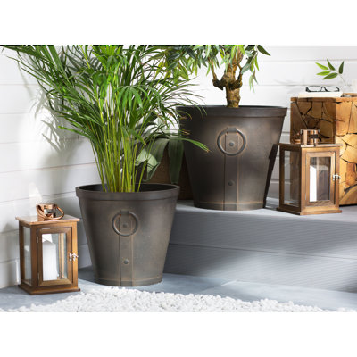 Aliene Pot Planter