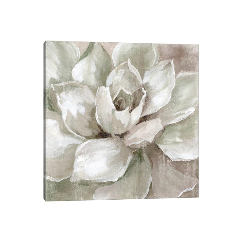 Hazy Summer Succulent by Nan - Wrapped Canvas Painting, 66.04 cm H x 66.04 cm W x 3.175 cm D