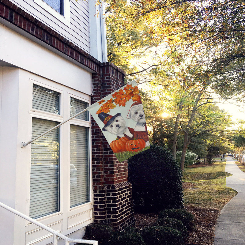 Drapeau de maison Hvidovre Sheltie Halloween en polyester à 2 faces 3 x 2 pi, Westie pèlerins de l'Action de grâce