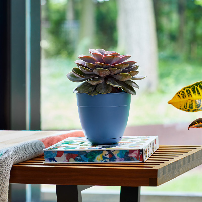 Elaena Recycled Plastic Pot Planter with c, Ocean Blue, 7.5" H x 8" W x 8" D