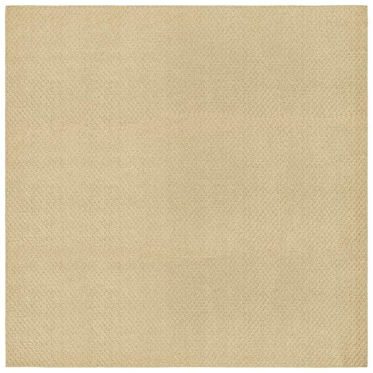 Indoor Rug