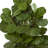 Fiddle Leaf Artificial Tree with Decorative Planter