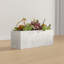 Sydnee 19cm Succulent in Cement Planter