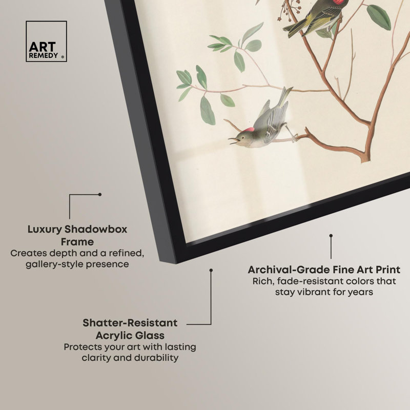 «Mountain Laurel Shadowbox Print» par Art Remedy, H 37 po x l 25 po, Noir