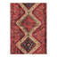 Oriental Area Rug in Red
