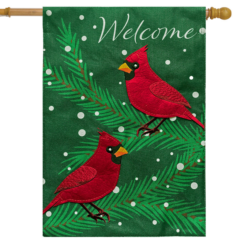 Cardinals in Snow House