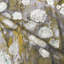 Evangeline Fabric