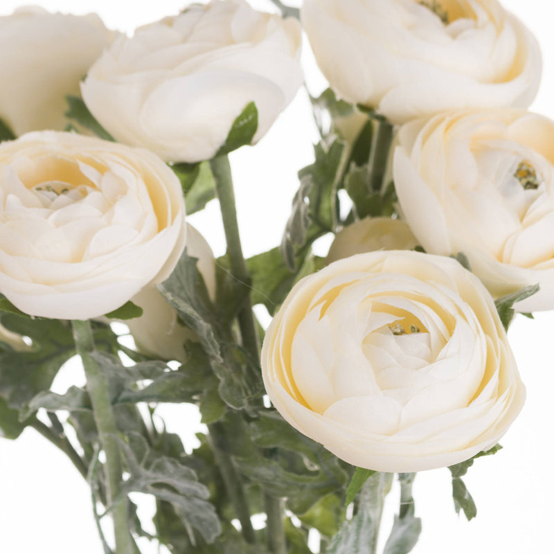 Ranunculus Arrangement